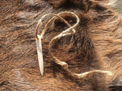 How to Make a Bone Needle Image